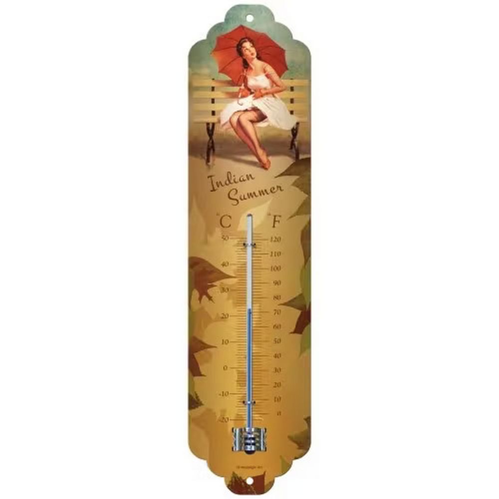 Retroworld Indian Summer Thermometer - 7 x 28 cm - Termometer fra Retroworld hos The Prince Webshop
